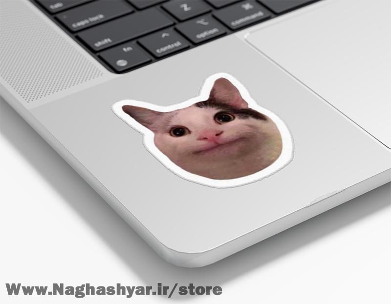 استیکر لپ تاپ میم گربه