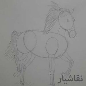 آموزش طراحی اسب با مداد
