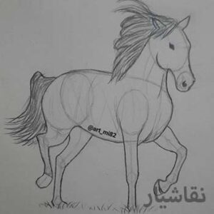 آموزش طراحی اسب ساده