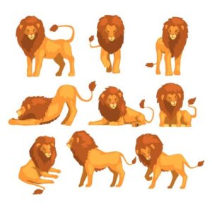 آموزش نقاشی شیر جنگل
