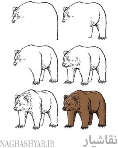 آموزش نقاشی خرس وحشی