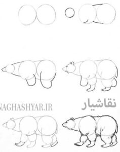 آموزش نقاشی خرس ساده