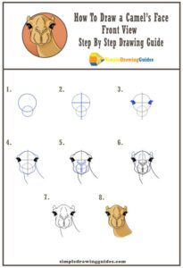 آموزش کشیدن نقاشی شتر