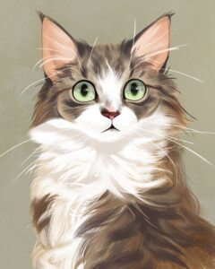 نقاشی گربه پشمالو