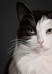 نقاشی گربه سیاه 