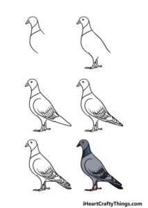 آموزش نقاشی کبوتر به کودکان