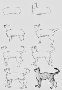 آموزش نقاشی گربه ساده