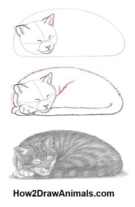آموزش نقاشی گربه ناز