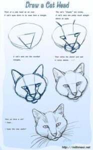 آموزش نقاشی گربه 