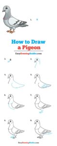 آموزش نقاشی کبوتر برای کودکان