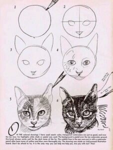 آموزش نقاشی گربه آسان