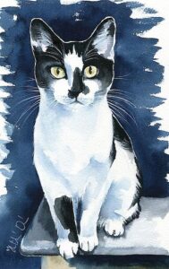 نقاشی گربه سخت