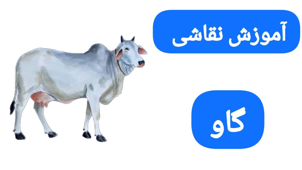 آموزش نقاشی گاو