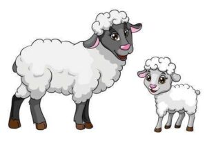 نقاشی گوسفند کارتونی