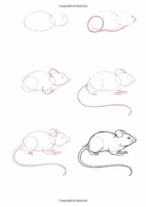 آموزش نقاشی موش آسان