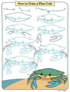 عکس آموزش نقاشی خرچنگ