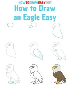 آموزش نقاشی عقاب ساده و آسان