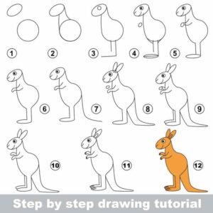 آموزش نقاشی کانگورو ساده