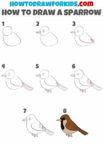 آموزش نقاشی گنجشک ساده