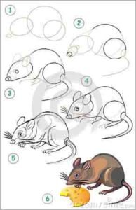 آموزش نقاشی موش مرحله به مرحله