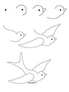 آموزش نقاشی گنجشک درحال پرواز
